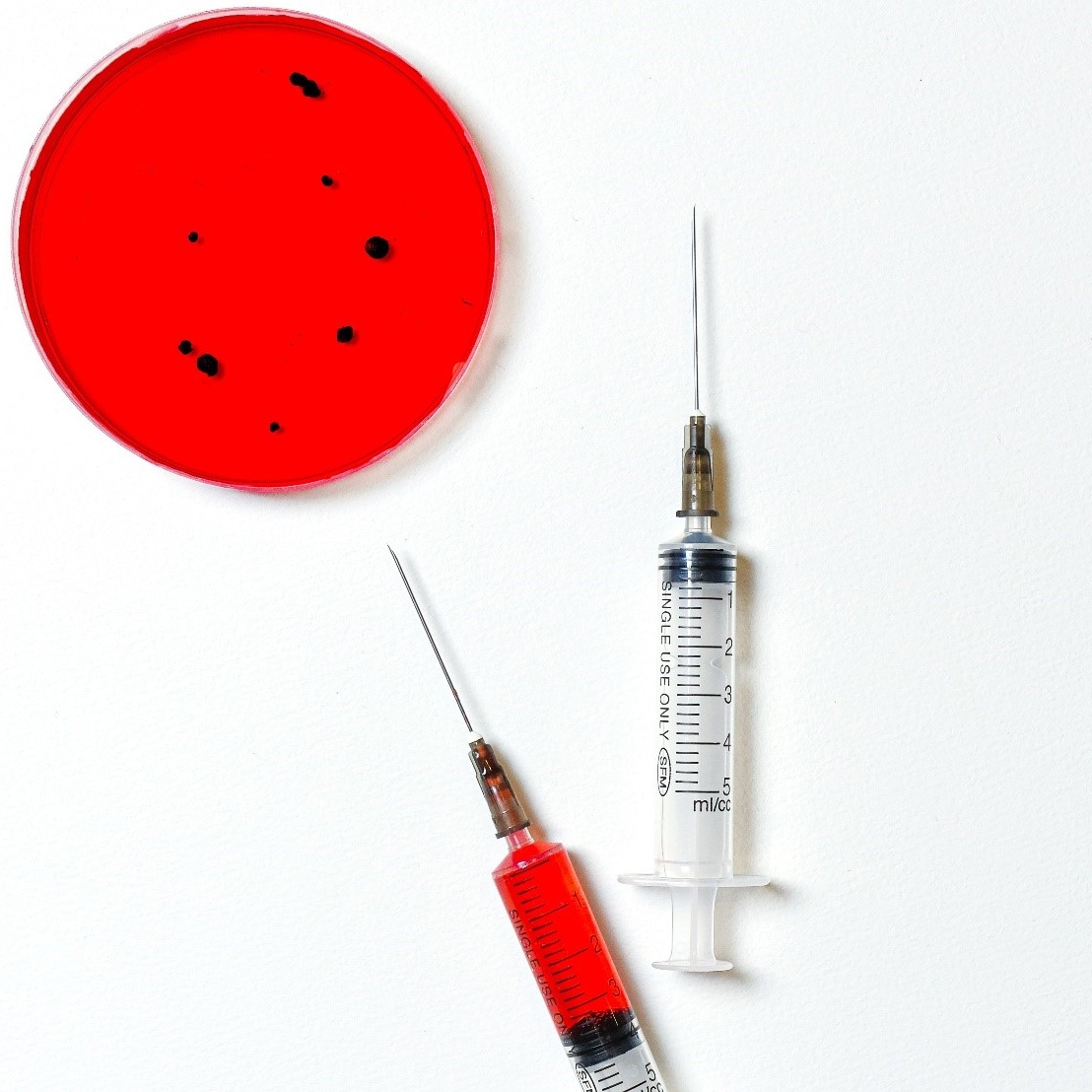 Hormondiagnostik: Schafft Klarheit bei Hormonstörungen (Foto: Anna/pexels.com). Hormondiagnostik: Schafft Klarheit bei Hormonstörungen und Symptomen wie Akne oder Haarausfall.